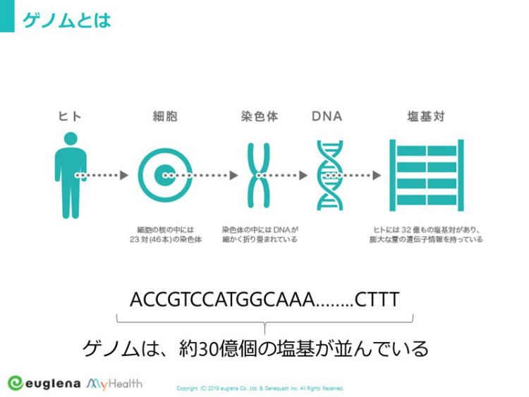※資料提供:株式会社ジーンクエスト