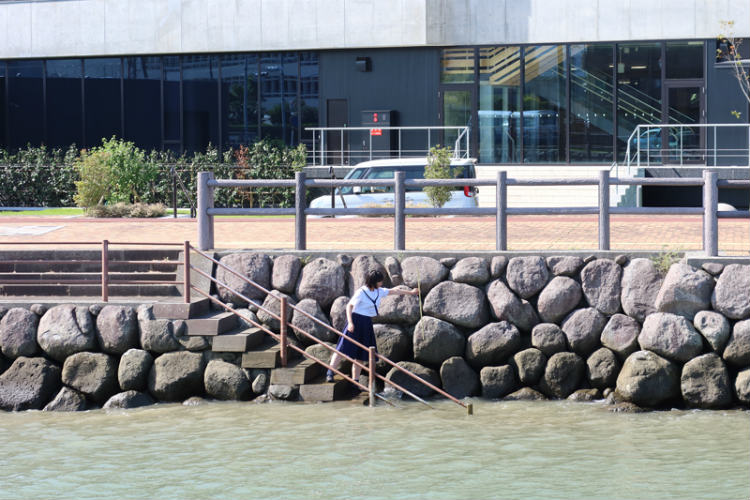 市役所付近の堤防で現地調査 ※画像提供:天草高校