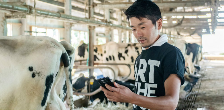 「Farmnote Color」ならば牛の目の前で記録できるので、書き間違えることもない。過去の記録から牛の体調管理にも役立てられる。
グラフ提供:ファームノート