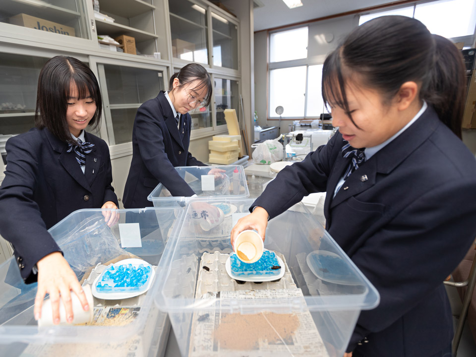 《JST主催》科学技術による社会課題解決の糸口をさぐる 中学生がカードゲームで、サイエンスアゴラ2023より