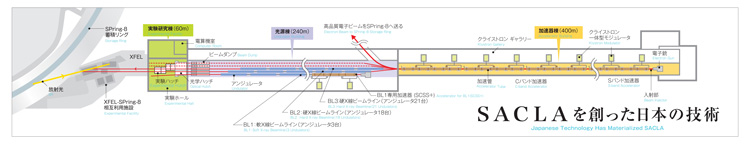 SACLAの構造。実験研究棟の先にはSPring-8との相互利用実験施設がある(理化学研究所放射光科学研究センター提供)