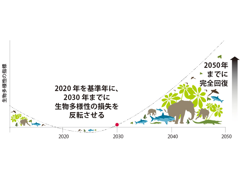 《JST共催》持続可能な生物環境を作ろう サイエンスアゴラ2023オンライン企画「ネイチャーポジティブと科学技術」より