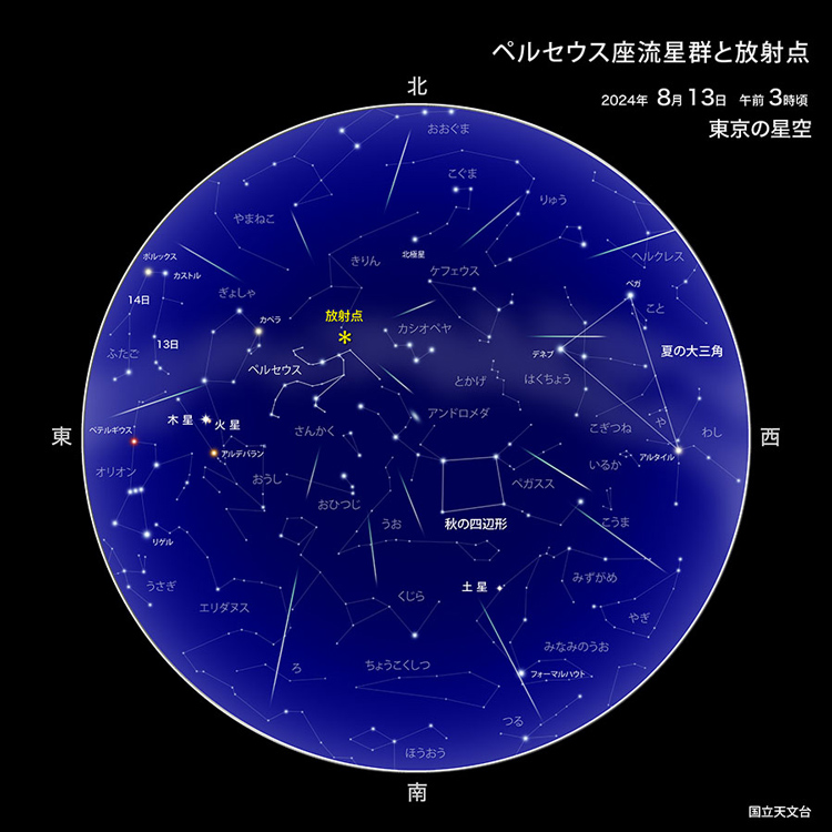 ペルセウス座流星群の解説図。放射点とは、流星群の光跡をさかのぼって延長すると集まる一点のこと。ペルセウス座流星群の放射点はペルセウス座付近にある(国立天文台提供)