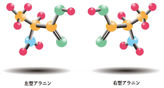 アミノ酸の一種で、リュウグウからも見つかった「アラニン」の構造の模式図。左右の光学異性体がある(国立天文台提供)