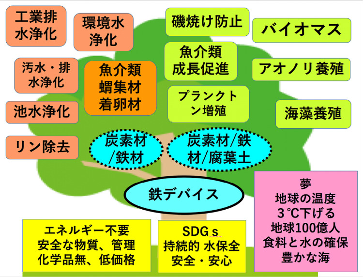 「鉄デバイスは『海に森を創る』サプリメントとも言えます。SDGs達成にも貢献し得る技術です」と小島さん(小島昭さん提供の画像を基に作成)